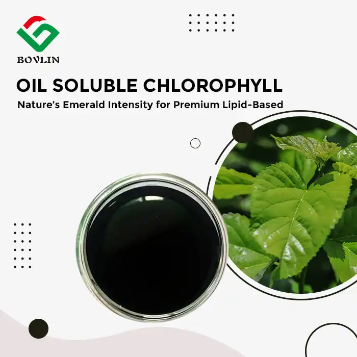 Oil Soluble Chlorophyll